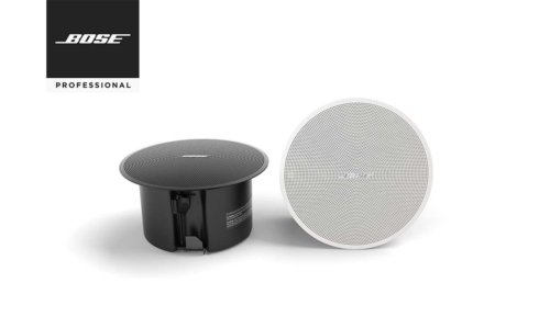 BOSE DM2S