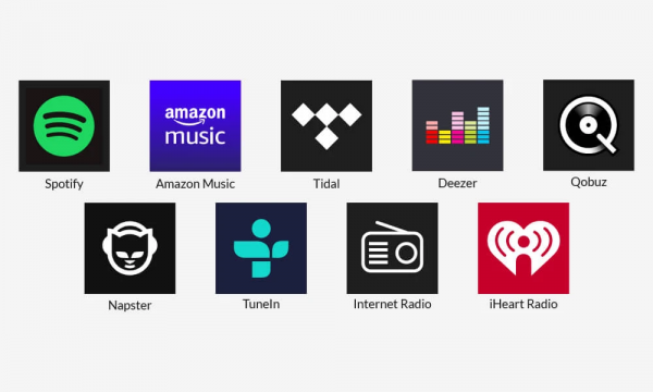 Music Streaming Services