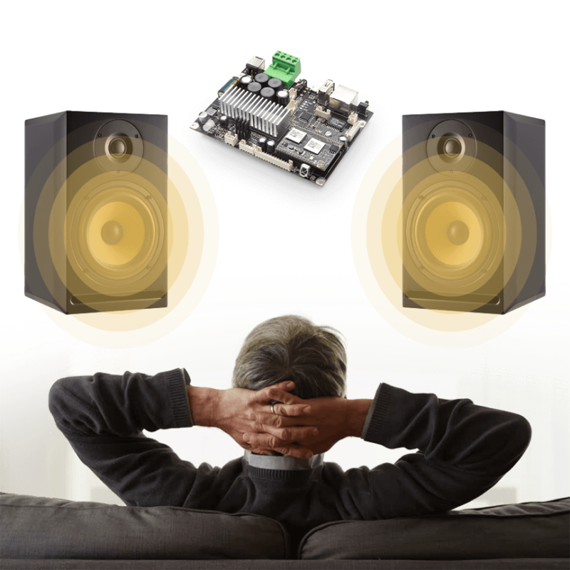 Arylic Bluetooth Amplifier Board with Wifi Up2stream Amp V4 Doneo