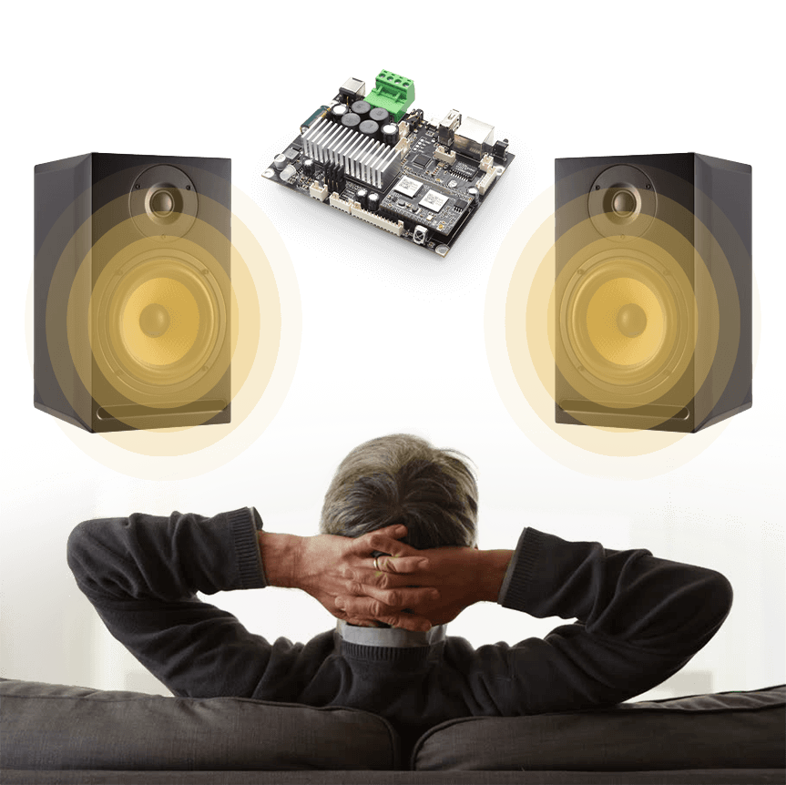 Arylic Bluetooth Amplifier Board with Wifi Up2stream Amp V4 Doneo